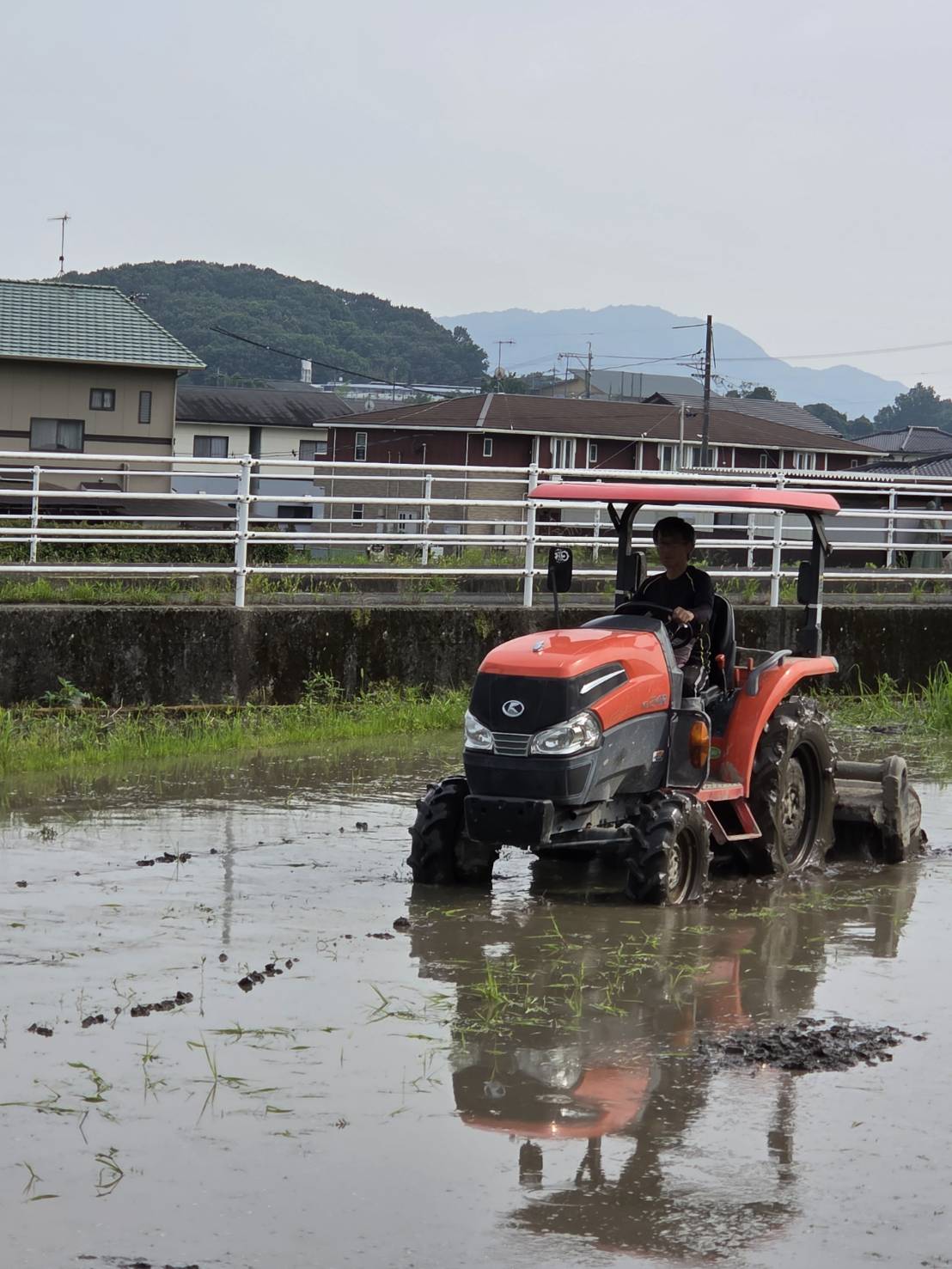 水を張った田んぼでトラクターを動かす様子