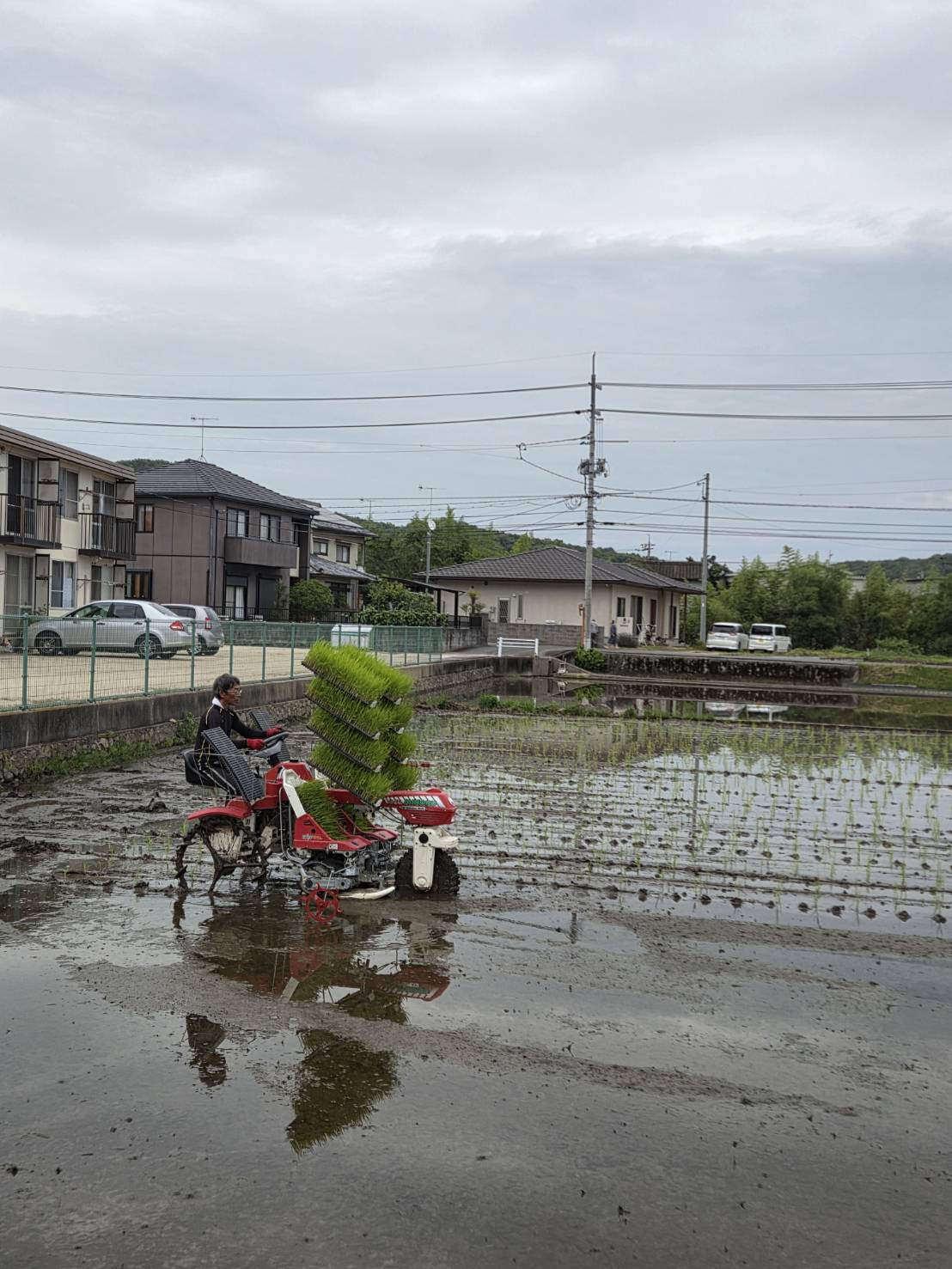 田植え機で苗を植える様子